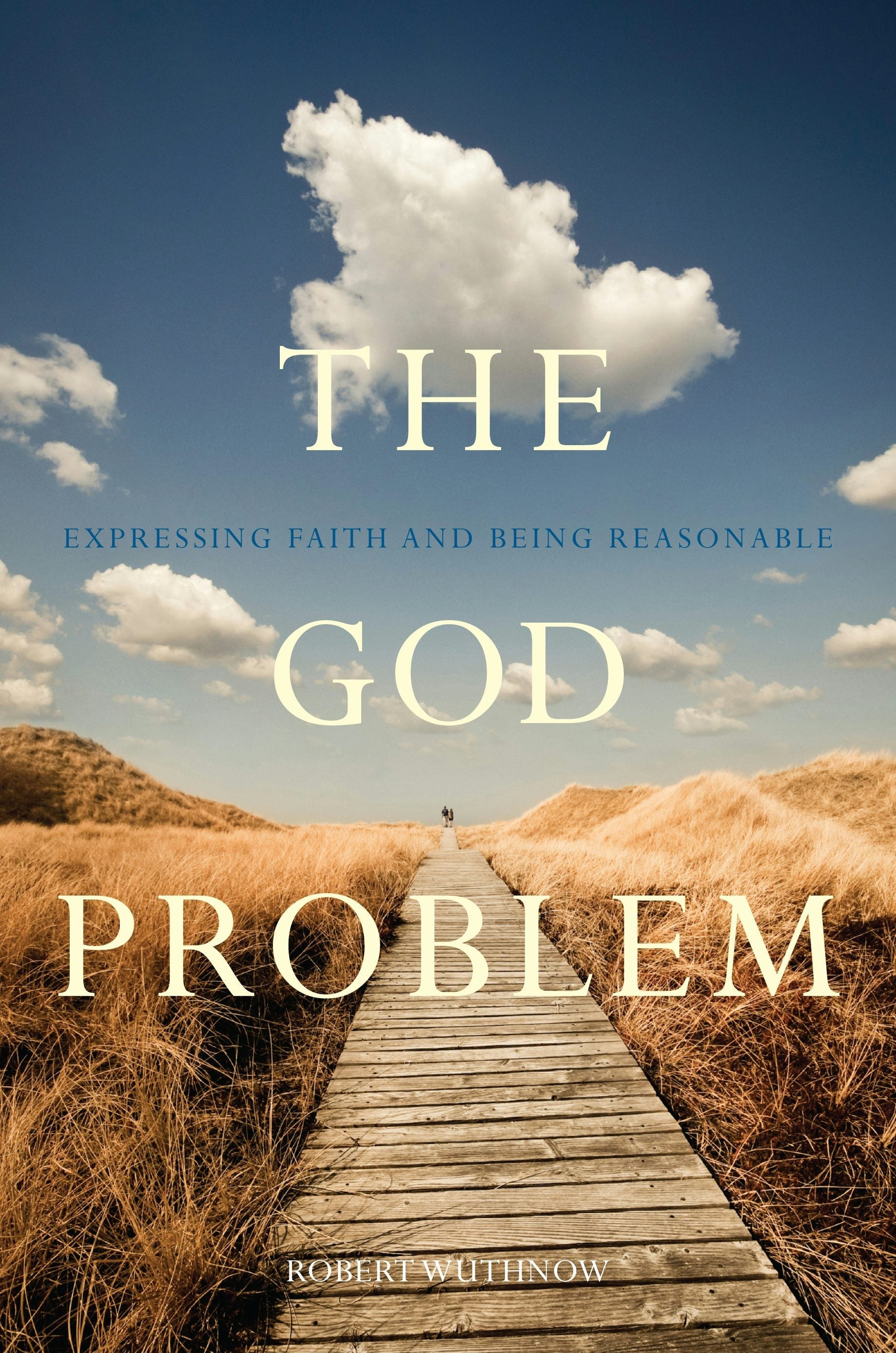 Book cover image for The God Problem ISBN: 9780520954267